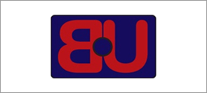 Bu